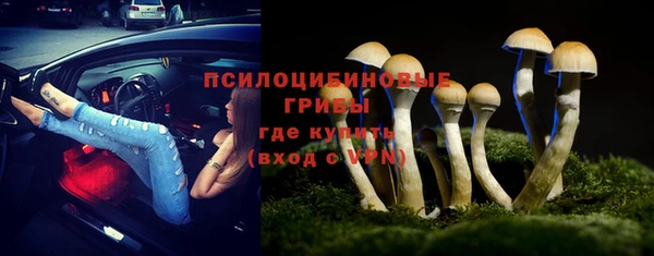 МДПВ Слюдянка