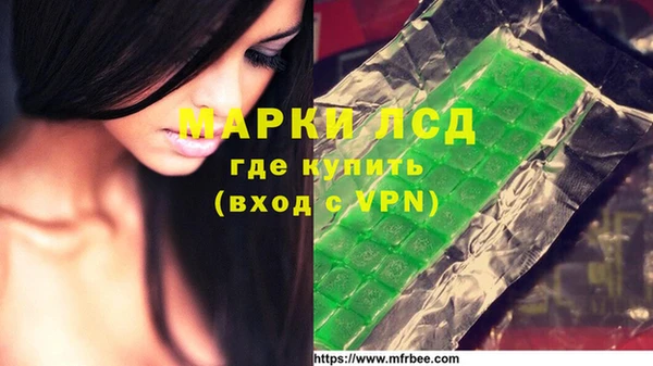 хмурый Алзамай