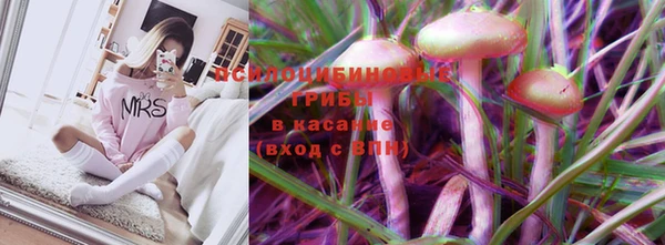 МДПВ Слюдянка